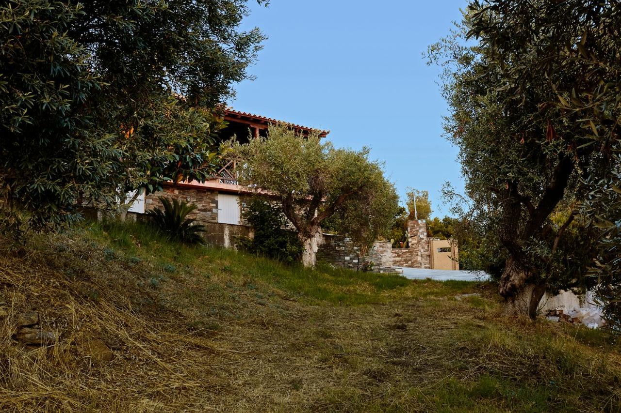 Skiathos Villa Ira Koukounaries Exterior foto